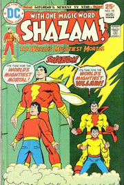 Shazam! 1973 Series #19