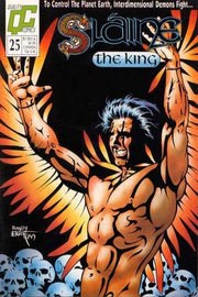 Slaine: The Berserker #25