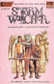 Stormwatcher #3