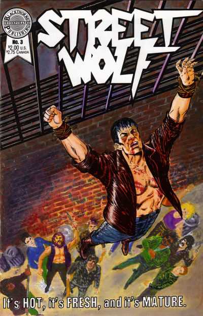 Street Wolf #3