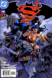 Superman/Batman Lee cover #10