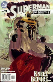 Superman: Birthright #11
