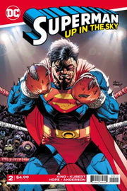 Superman: Up in the Sky #2