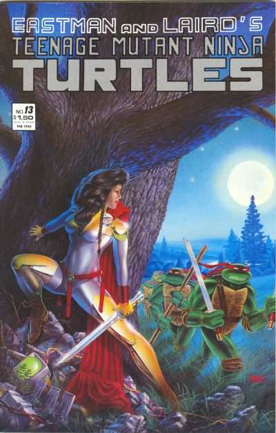 Teenage Mutant Ninja Turtles 1984 Series #13