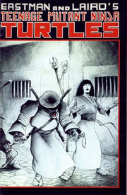Teenage Mutant Ninja Turtles 1984 Series #17