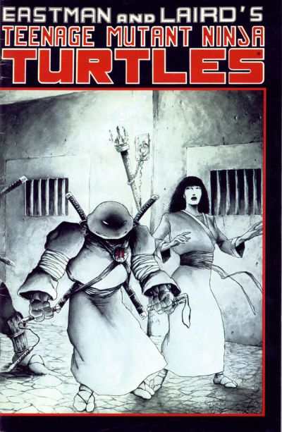 Teenage Mutant Ninja Turtles 1984 Series #17