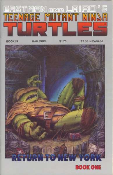 Teenage Mutant Ninja Turtles 1984 Series #19