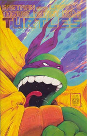 Teenage Mutant Ninja Turtles 1984 Series #22