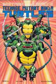 Teenage Mutant Ninja Turtles 1984 Series #24