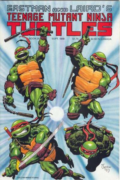 Teenage Mutant Ninja Turtles 1984 Series #25