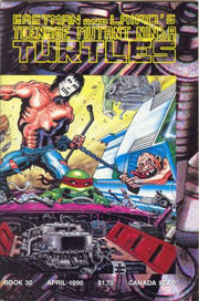 Teenage Mutant Ninja Turtles 1984 Series #30