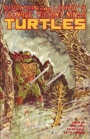 Teenage Mutant Ninja Turtles 1984 Series #37