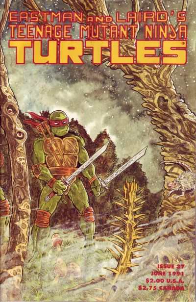 Teenage Mutant Ninja Turtles 1984 Series #37