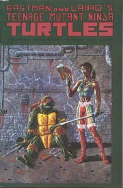 Teenage Mutant Ninja Turtles 1984 Series #44