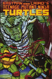 Teenage Mutant Ninja Turtles 1984 Series #45