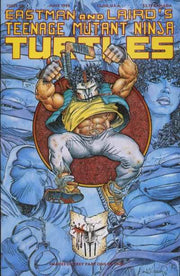 Teenage Mutant Ninja Turtles 1984 Series #48