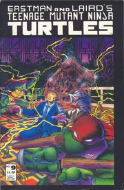 Teenage Mutant Ninja Turtles 1984 Series #9