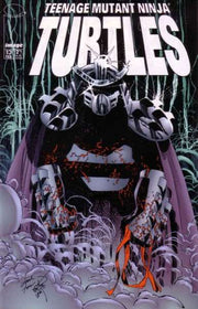 Teenage Mutant Ninja Turtles 1996 Series #13