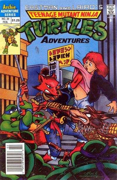 Teenage Mutant Ninja Turtles Adventures 1989 Series #29