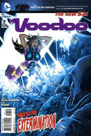 Voodoo 2011 Series #7