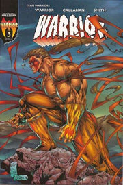 Warrior 1996 Series #3