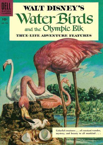 Water Birds and the Olympic Elk #1