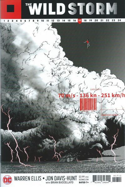 Wild Storm #17