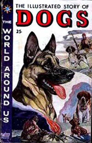 World Around Us #1